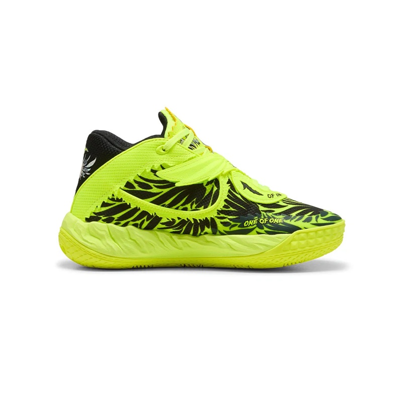 Immagine 1_312251_1.jpg