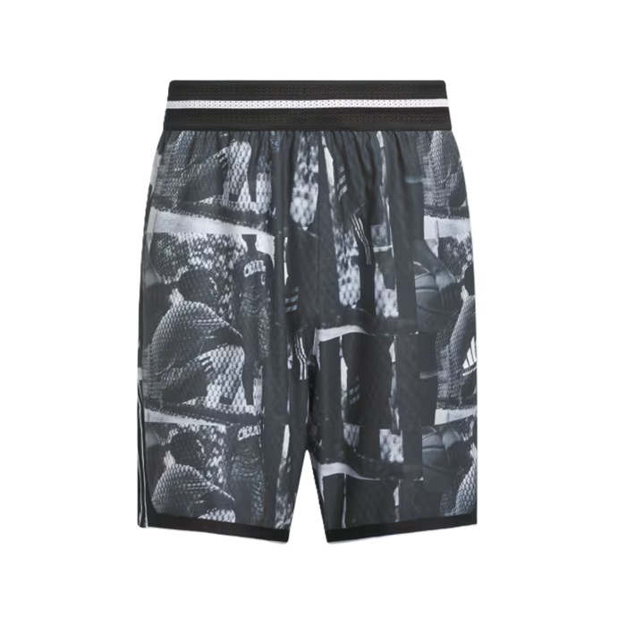 Immagine 1_JN2460_1.jpg