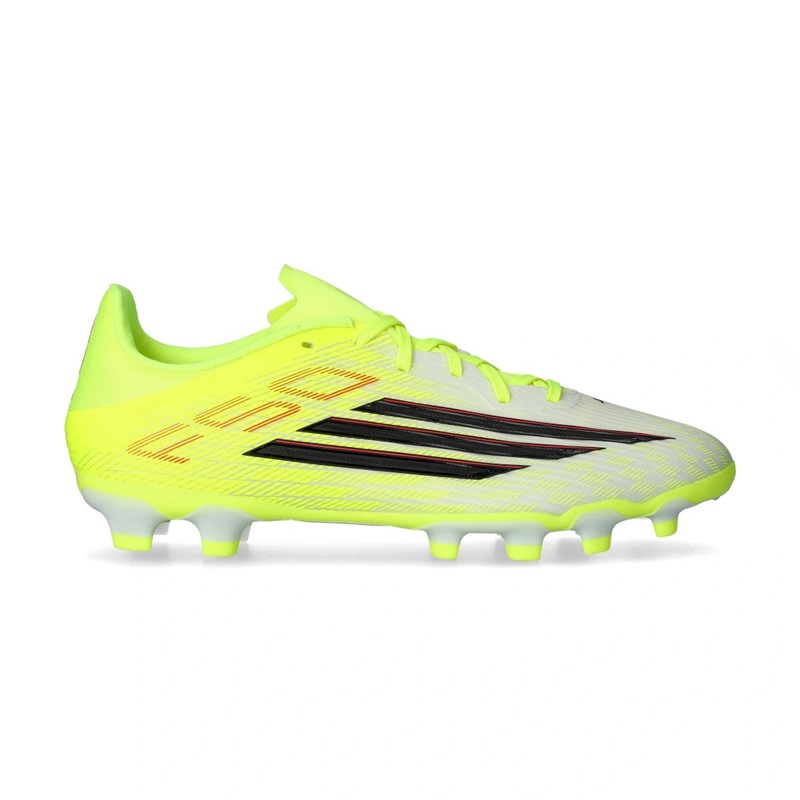 Immagine 1_JR8981_1.jpg