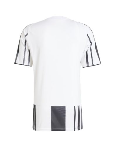 Immagine 2_JJ4320_2.jpg