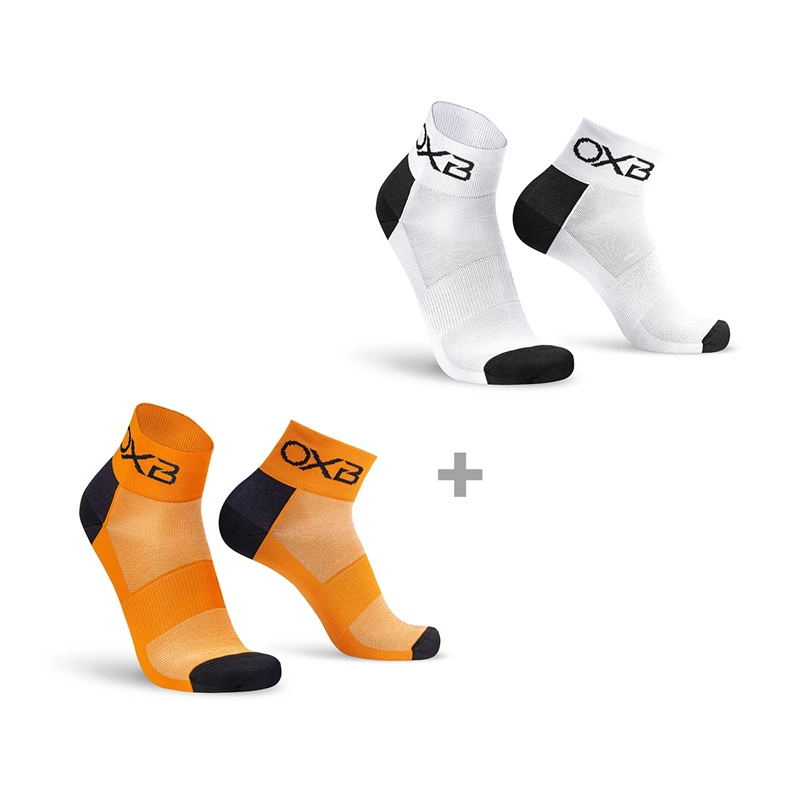 Immagine 1_1006_1.jpg