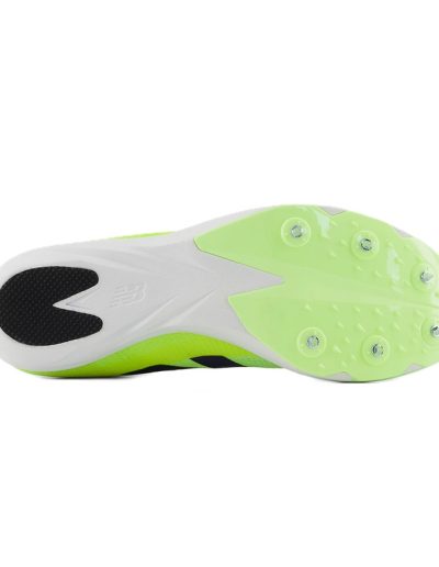 Immagine 2_UFCSPG1_2.jpg