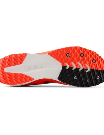 Immagine 2_UXCS7CU5_2.jpg