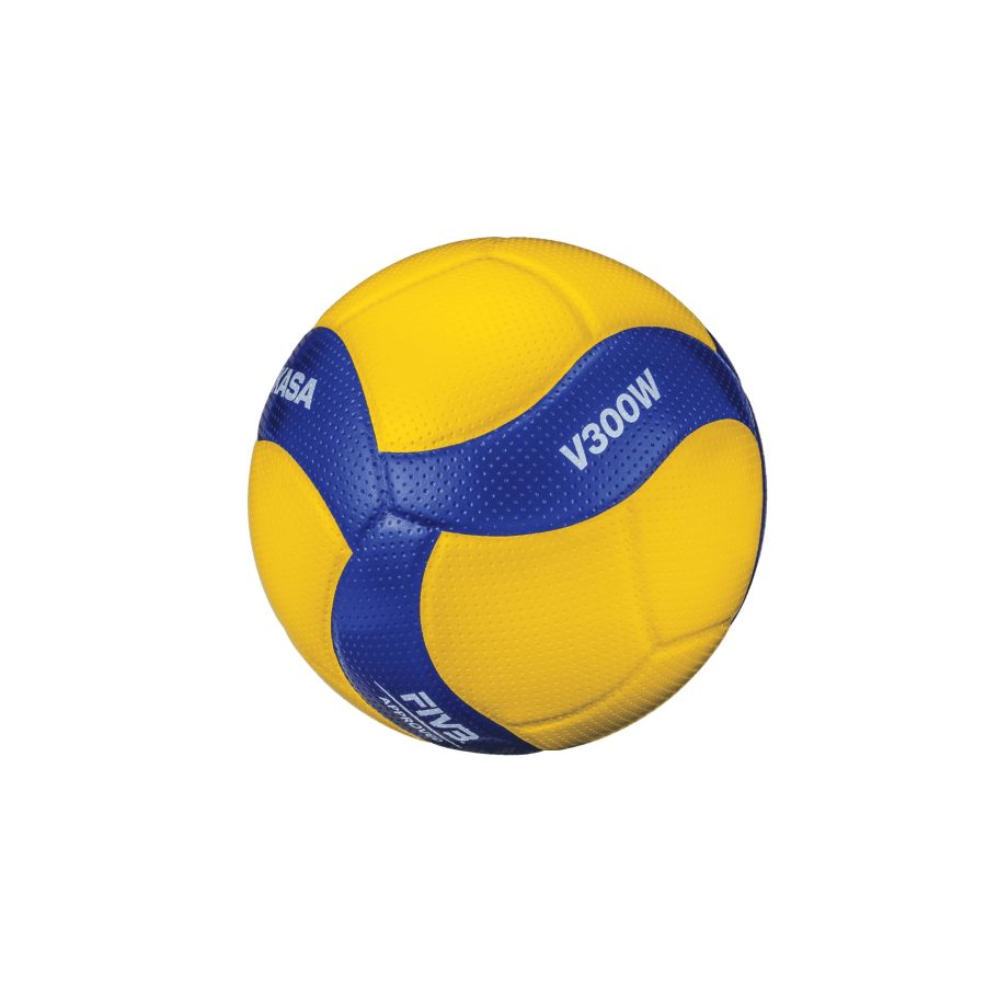 Immagine 1_V300W_1.jpg