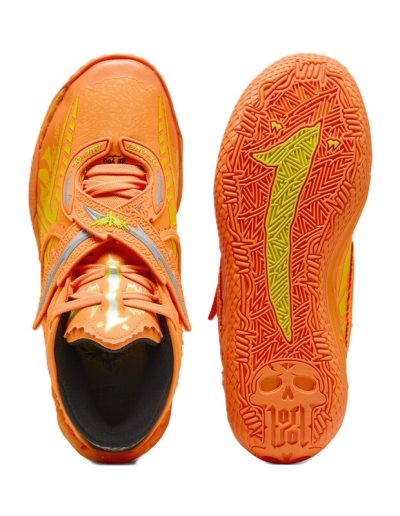 Immagine 2_312796_2.jpg